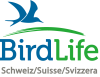 birdlife